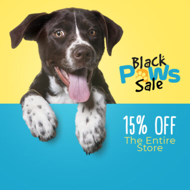 1149620098444049 Savvy Outsourcing 1080x1080 JG 3 01