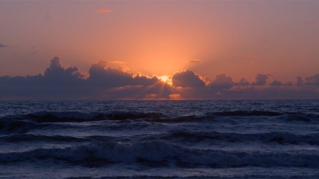 Blackmagic 6K Test Video