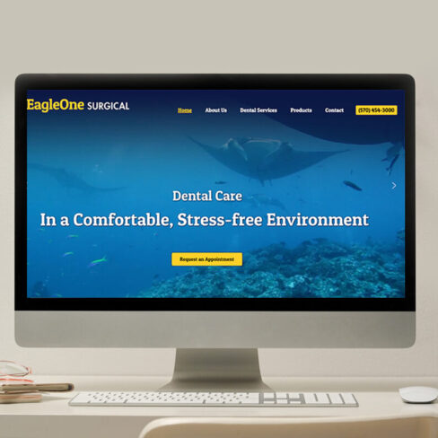 EagleOne Portfolio Photo