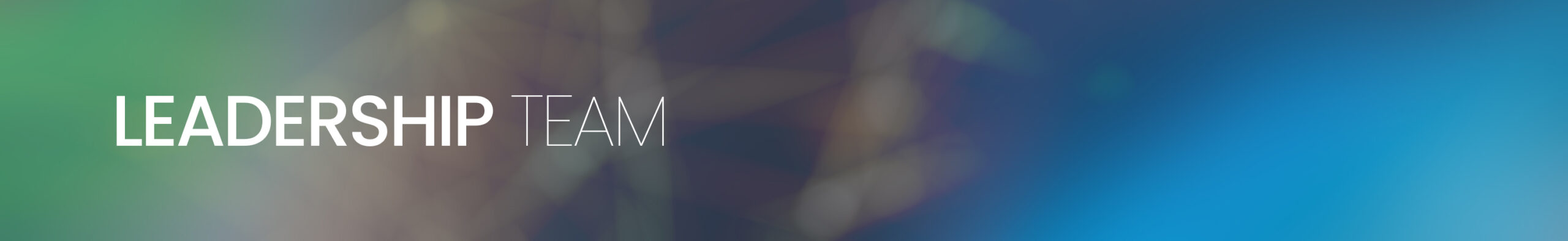 Leadership team Leadership team