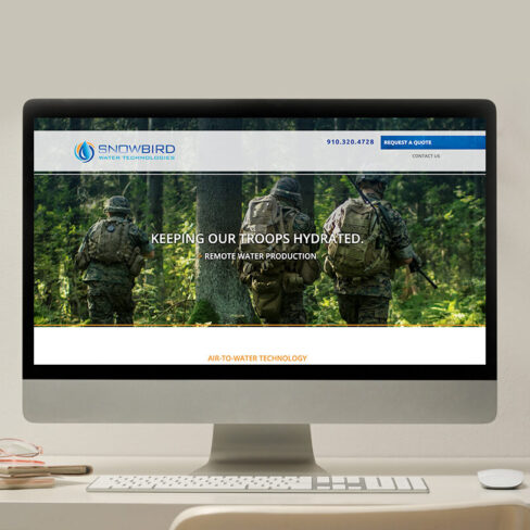 Snowbird Portfolio Image