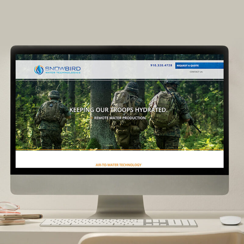 Snowbird Portfolio Image