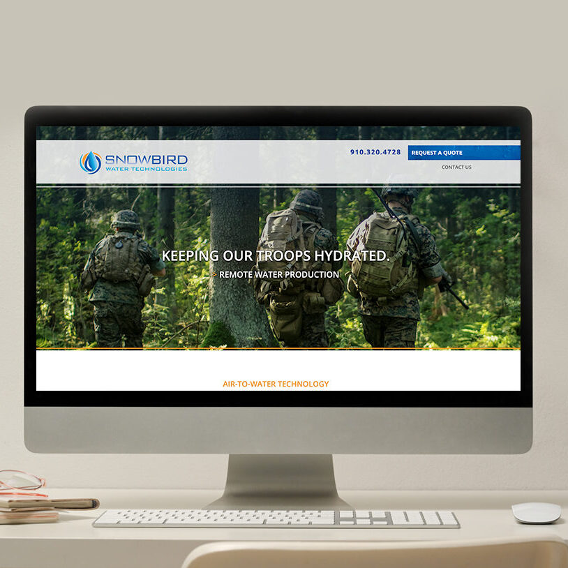 Snowbird Portfolio Image