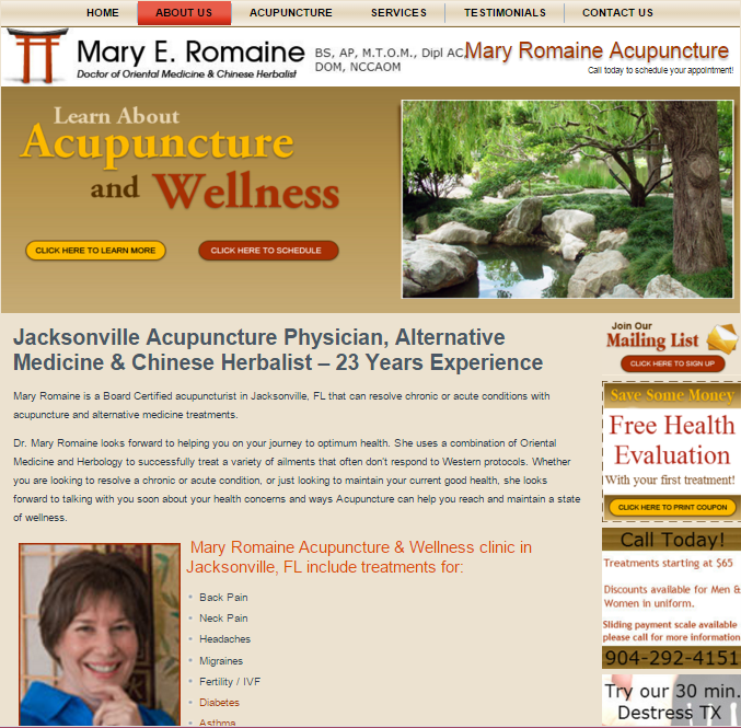 acupuncture marketing mary romaine jacksonville fl