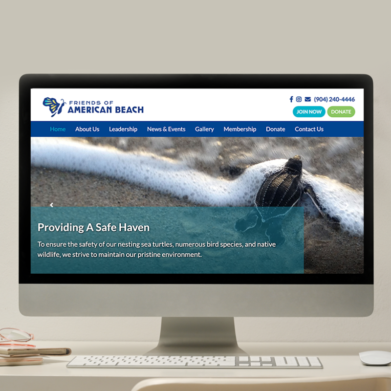 Friends of American Beach portfolio