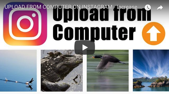 Screen Shot 2018 04 27 at 2.57.01 PM